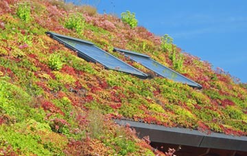 Claddach Knockline living roof systems